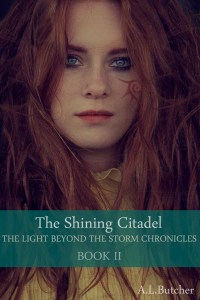 The Light Beyond the Storm Chronicles - Book 2