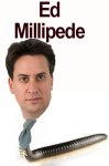 Ed Millipede