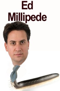 Ed Millipede